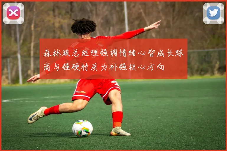 森林狼总经理强调情绪心智成长球商与强硬特质为补强核心方向