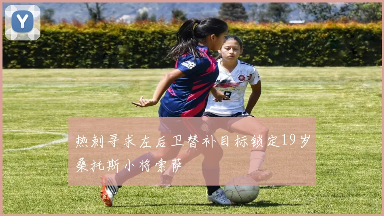 热刺寻求左后卫替补目标锁定19岁桑托斯小将索萨