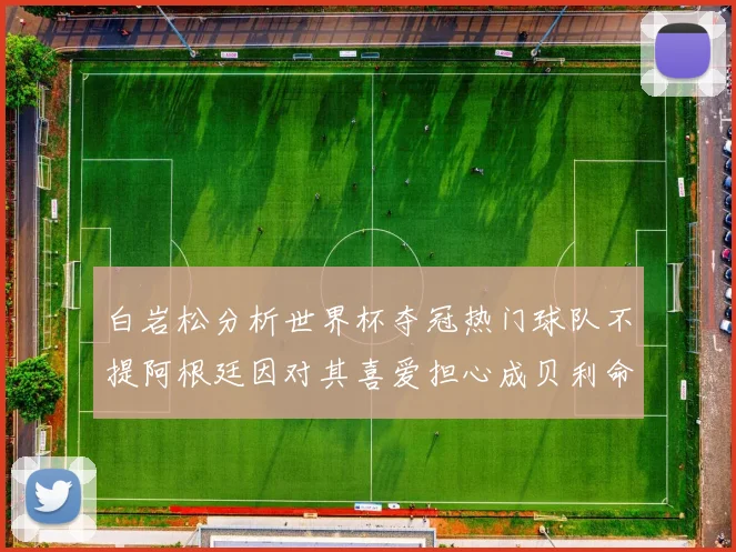 白岩松分析世界杯夺冠热门球队不提阿根廷因对其喜爱担心成贝利命运